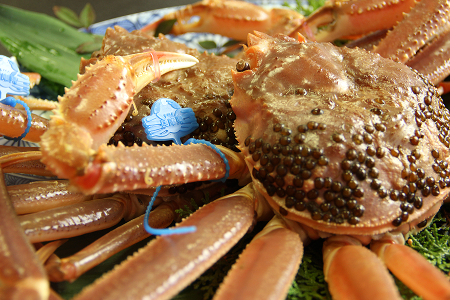 ファイル 1-1.jpg