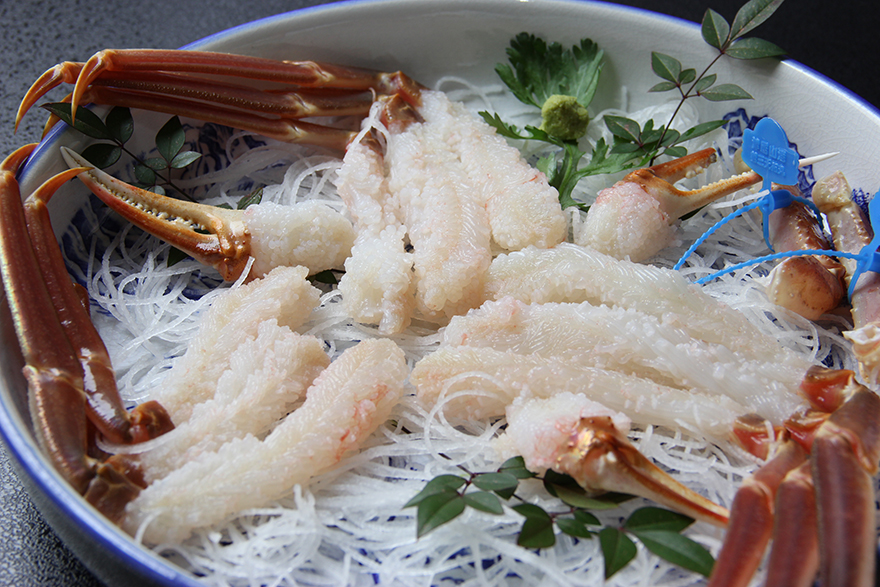 ファイル 2-1.jpg