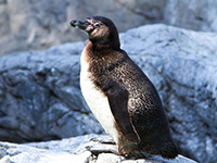 城崎マリンワールド